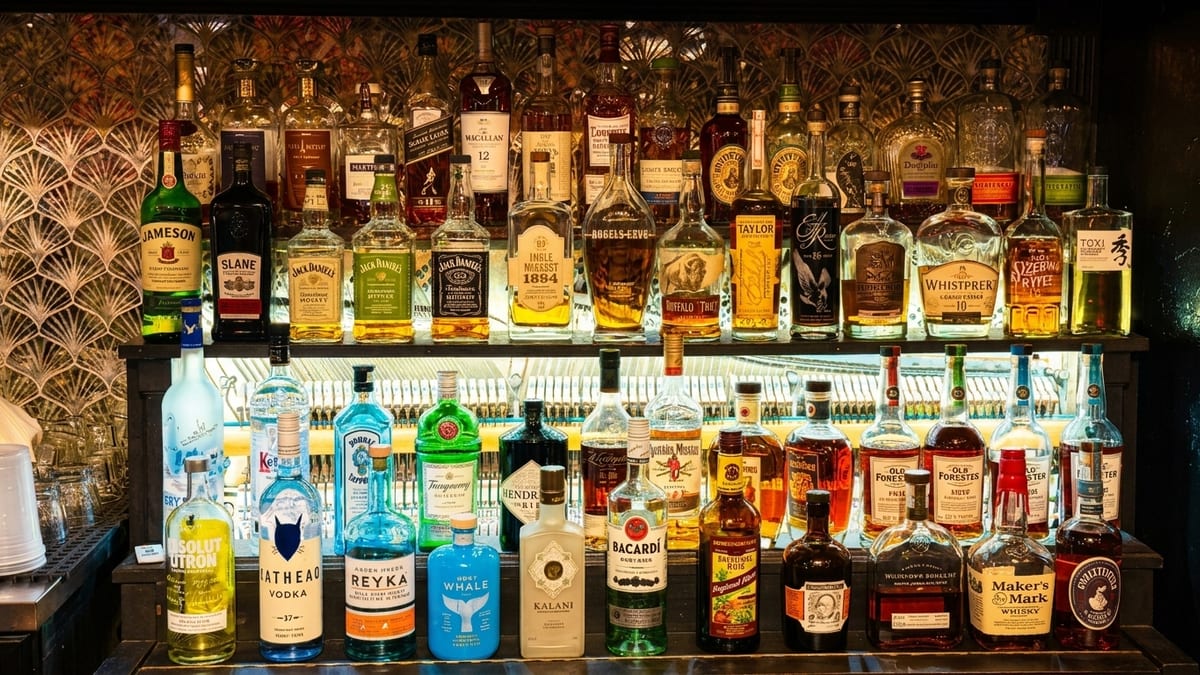 Every week, a full lineup